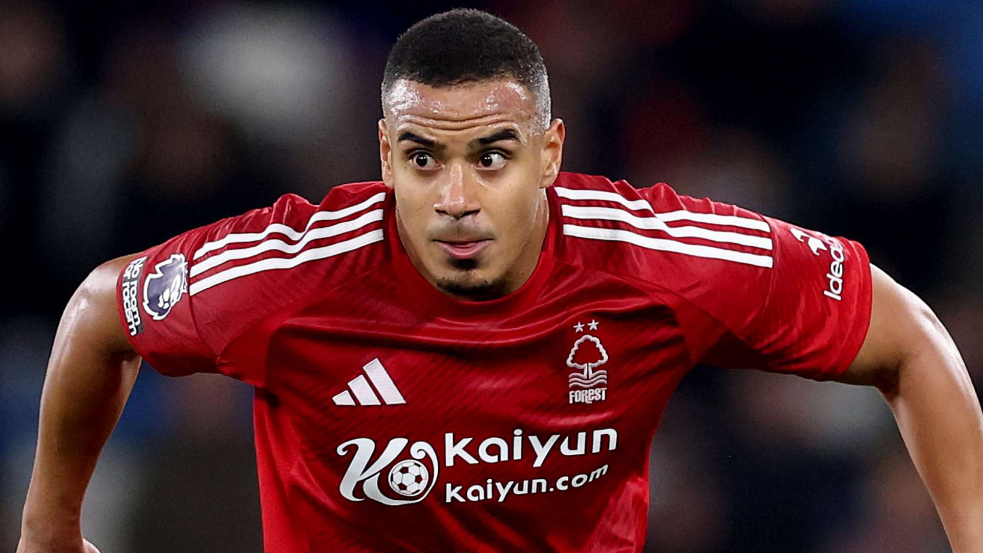 二者的宿命 二者的宿命