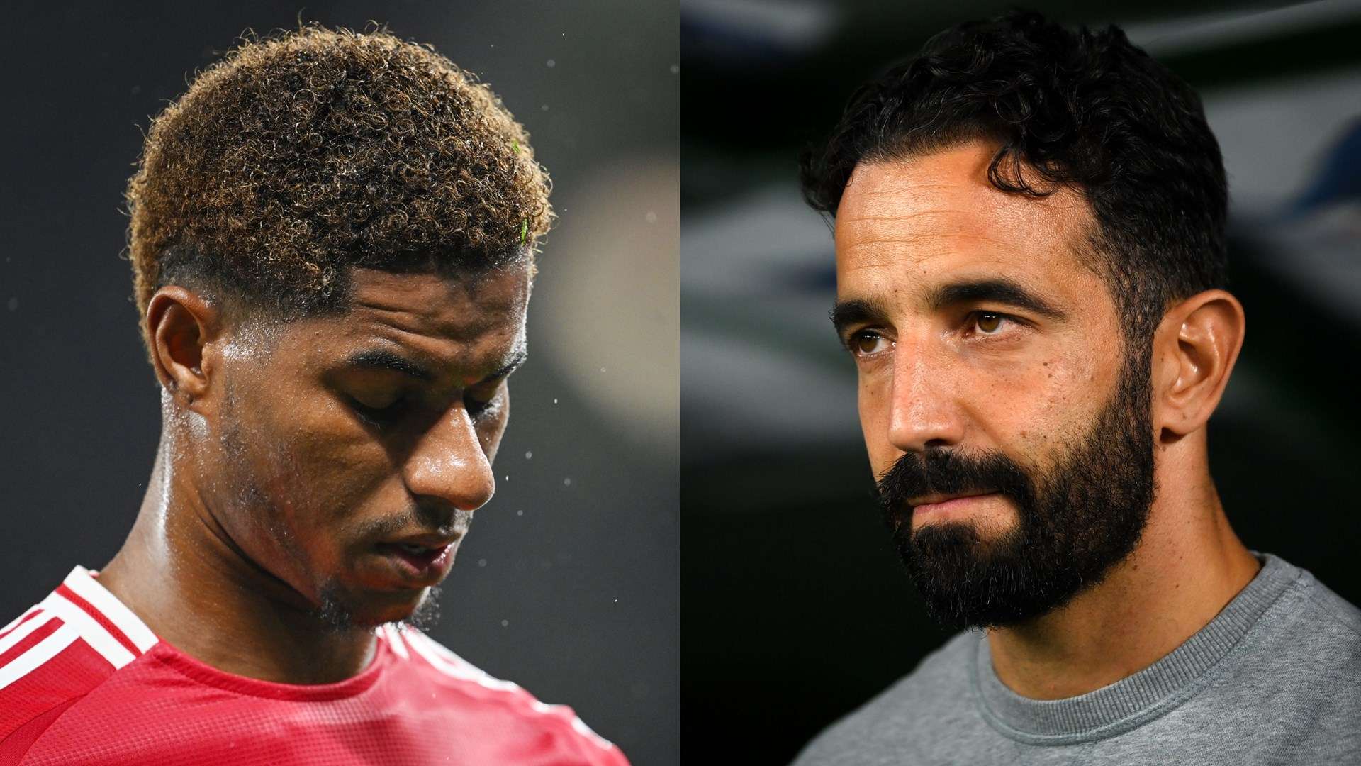 度和归属感 度和归属感